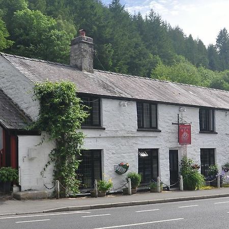 Dragon Bed And Breakfast ベトウス・ア・コーエド エクステリア 写真